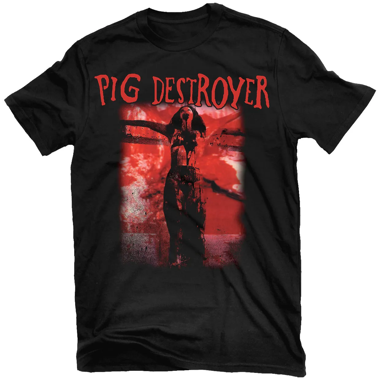 Pig Destroyer Stab Me Again