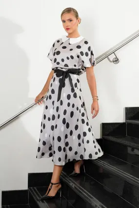 Polka dot collared dress