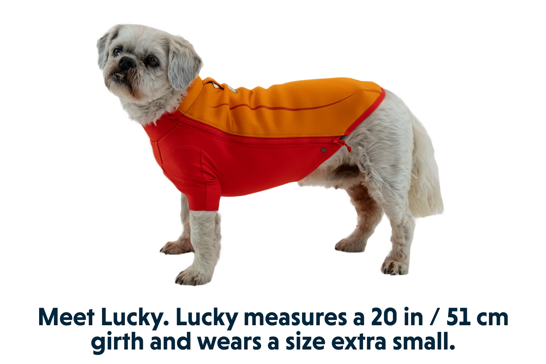 RP - Undercoat Dog Water Jacket